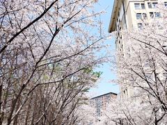 -南京明基医院