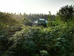 侧景-武汉世外桃源农庄