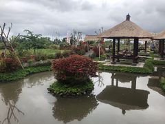 -Bebek Joni Restaurant