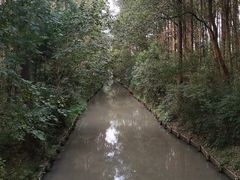 -同里国家湿地公园