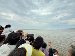-观潮胜地公园