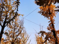 -两江幸福广场
