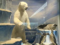 -国家自然博物馆