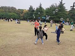 -青枫公园