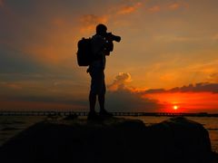 -宝安西湾红树林湿地公园