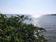 -贡湖湾湿地公园