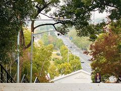 -上海佘山国家森林公园西佘山园