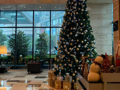 -上海龙之梦万丽酒店