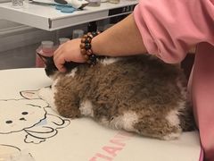 -FAELING PETS美天灵宠物(富力广场店)
