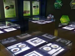 -上海昆虫博物馆