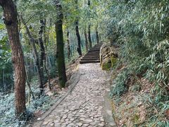 -上海佘山国家森林公园西佘山园