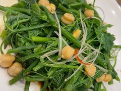 -巴依老爷新疆美食(望京小街店)