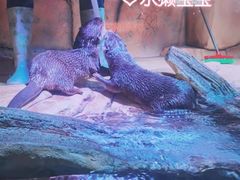 -南京海底世界