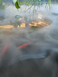 -爱儿美儿童摄影(朝阳公园店)