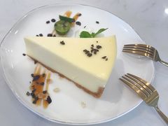 -飞行喵MR PILOT|猫舍·猫咖(静安大融城店)