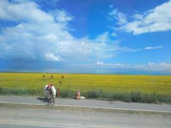 -青海湖国家重点风景名胜区