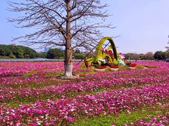 -海珠湖公园