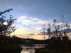 -树山生态村