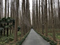 -上海怡沁园度假酒店