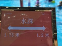 泳池-南山文体中心-游泳馆