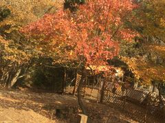 -白马涧龙池景区