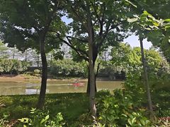 -南翔镇银翔湖公园