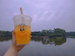 -茶百道(铜梁万达广场店)