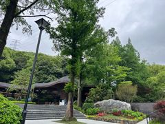 -东明山森林公园