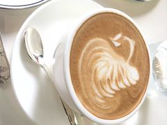 -BLACKSWAN黑天鹅(环球店)
