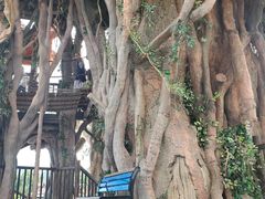 -云漫湖生态度假公园