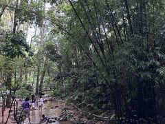 -火炉山森林公园