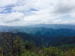 -牛背梁国家森林公园