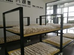 -太湖雪蚕桑文化园