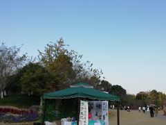 -径山花海