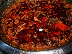 -胖子鱼·天水麻辣鱼火锅(秦州407店)