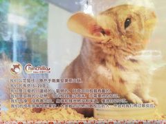 -龙猫仔乐园(惠福东路店)