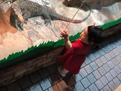 -上海大自然野生昆虫馆(东方明珠·爬宠昆虫探索中心)