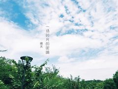 -羊山湖公园