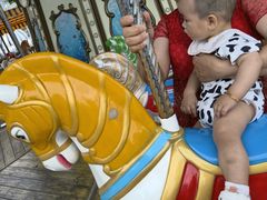 -海合安成都极地海洋公园