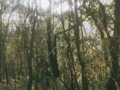 -青龙山公园