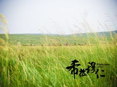 -希拉穆仁草原