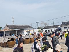 -苏州市吴中区光福窑上花果蜜饯厂