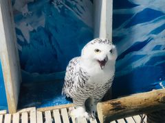 -成都浩海立方海洋公园