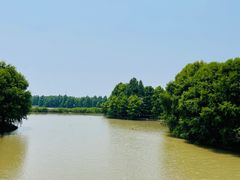 -上海海湾国家森林公园