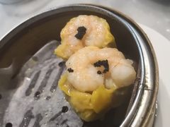 -糖朝(尖沙咀店)