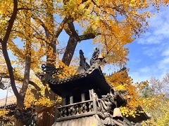 -红螺寺