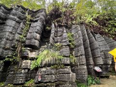 -梭布垭石林景区