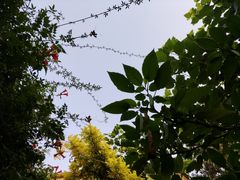 -斯多格书乡(北京大学畅春园店)