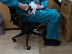 -pd派德宠物中心医院24H急重症·眼科中心·血液透析中心(嵩山北路店)