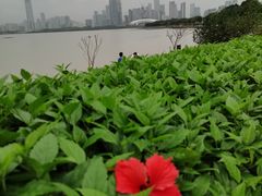 -深圳湾公园(南山区)